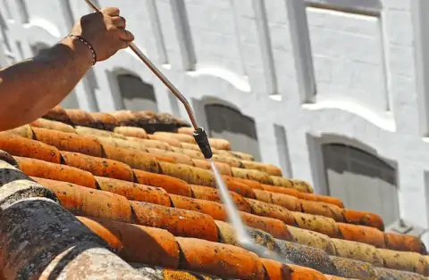 Nettoyage de toitures - Bussy-Saint-Georges